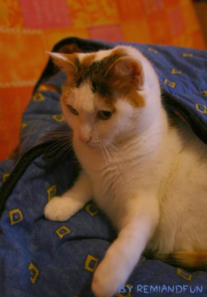 Lola